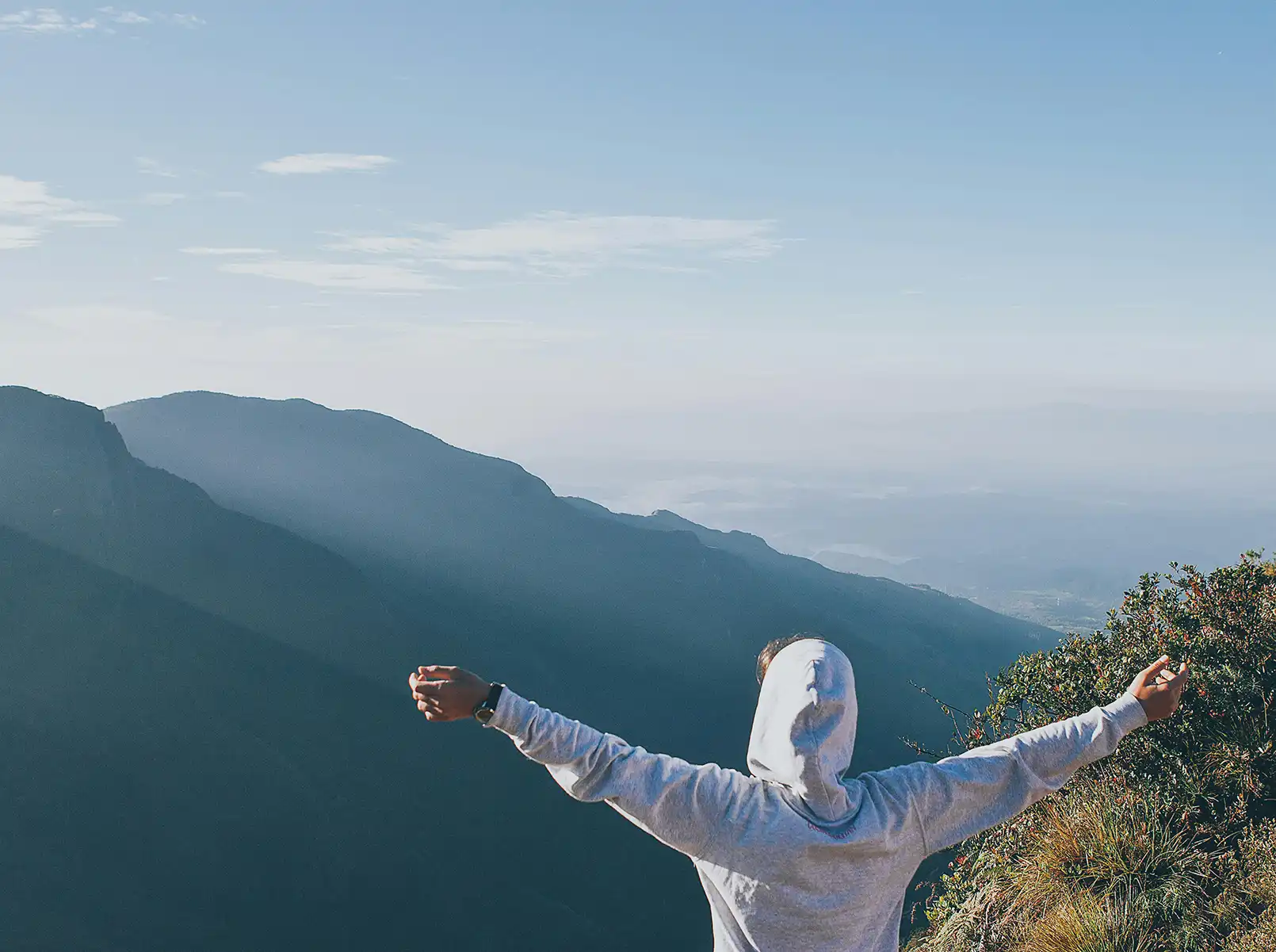 Create Your Programme Sheet