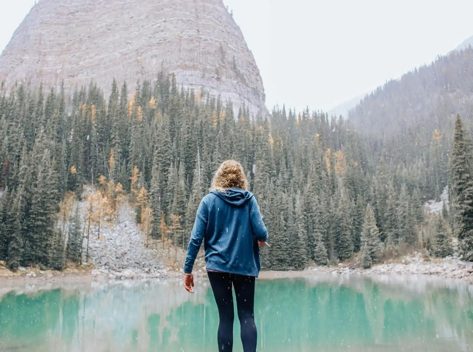 Create Your Programme Sheet